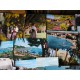 Lot de 220 cartes postales Côte d'Azur