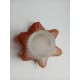 Tulipe-cloche lustre rose