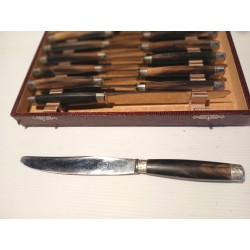 Coffret ancien de 12 couteaux la Tour d'Auvergne