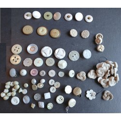 Lot(s) de boutons anciens blancs