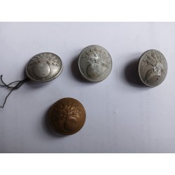 Boutons anciens  Sapeurs Pompiers