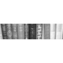 Collection Encyclopédies, Littérature, Histoire-Géographie